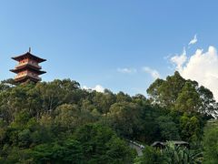 -中国沉香文化博物馆