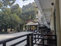 -普陀山雷迪森庄园