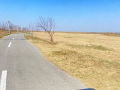 -盐城丹顶鹤湿地生态旅游区