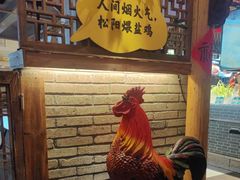 -头上红煨盐鸡乡村食府