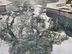 -金孔雀温泉旅游度假村