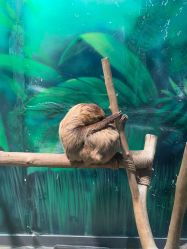 -未来动物城动物主题公园(大悦城店)