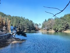 -四明山国家森林公园