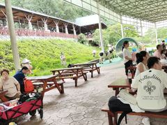 -盈香心动乐园