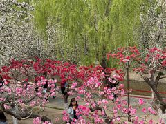 -元大都城垣遗址公园