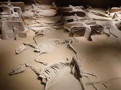 -洛阳周王城天子驾六博物馆