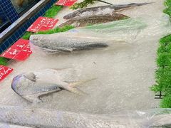 -骏莱海鲜鱼港(五角场店)