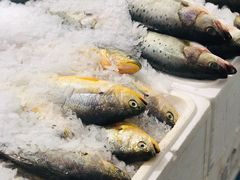 -麦德龙(京顺路商场店)