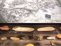 -金沙遗址博物馆