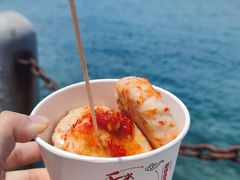 -三亚西岛海洋文化旅游区