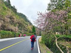 -千岛湖天屿景区