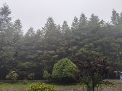-山王坪喀斯特国家生态公园