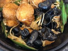 -金蝉食府(维吉奥广场店)