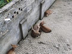 -台州府城(江南长城)
