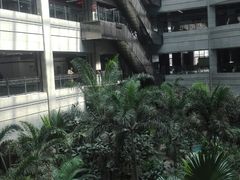 -黑龙江中医药大学附属第一医院