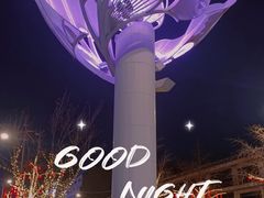 -王府井步行街