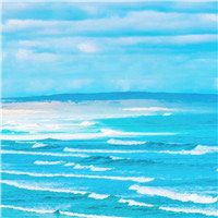 -薇兰专业脱毛连锁机构