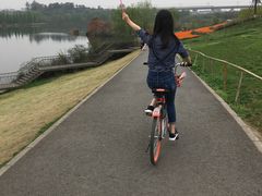 景点-白鹭湾湿地公园