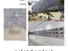 -罗红摄影艺术馆