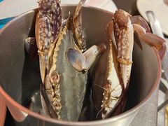 -星伦多自助料理·涮烤一体(虹悦城店)