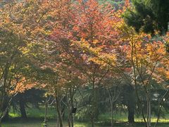 -西清公园
