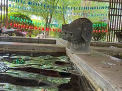 -中家鑫园温泉酒店鑫悦汤泉