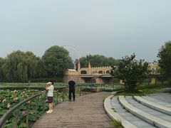 -莲花池公园
