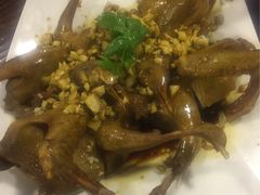 -百利鸽王(紫薇路店)