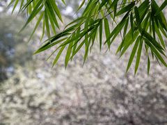 -成都市文化公园