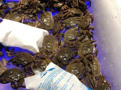 -诱货海鲜自助火锅(爱琴海购物公园东百店)