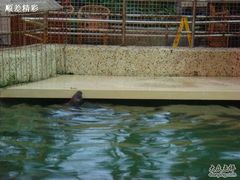  DSC00385-绿色时代大酒店