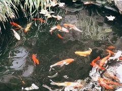 -莹珠阁·私房菜