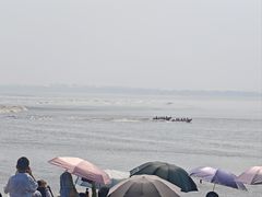 -观潮胜地公园