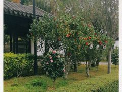 -九龙寨城公园