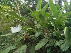 -优游吧斯邹族文化部落