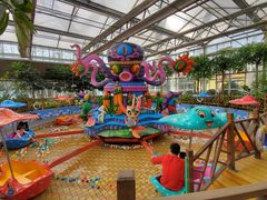 -南宫五洲植物乐园