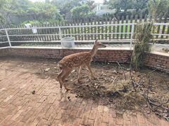 -丽泽山庄·生态怀柔菜·虹鳟鱼(红螺寺店)