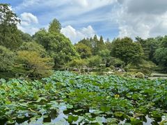 -杭州植物园
