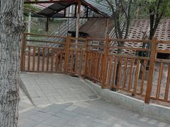 -北京鹿世界主题园