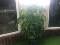 -贝菲特游泳健身(徐泾店)