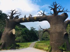 -梅岭月亮湾山体公园