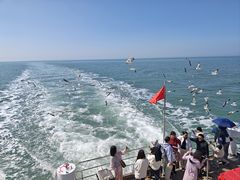 -海驴岛(荣成市)