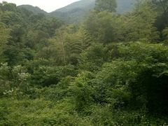 -陶祖圣境风景区