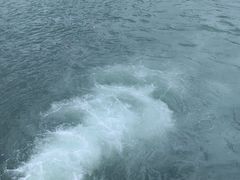 -海港城