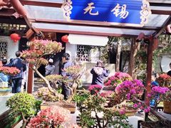 -惠山古镇·寄畅园