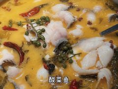 酸菜鱼-羲和雅苑•北京烤鸭(乐园道万象城店)