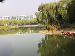 -大兴滨河森林公园