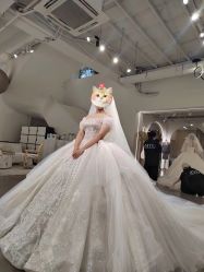 -艾米丽婚纱礼服