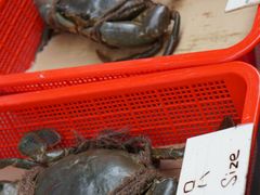 -龙海鲜螃蟹王(宏茂桥店)