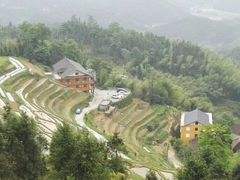 -紫鹊界梯田景区